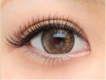 ジェリービーンズ(JerryBeans)/