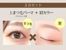 上まつげパーマ(パリジェンヌ)＋眉カラー　