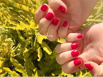 クレー(Klee)/美ワンカラー