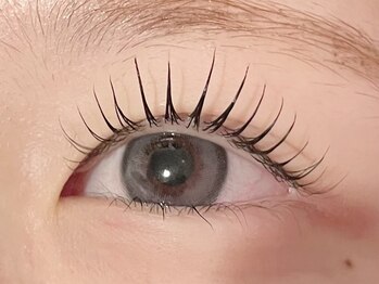 セリシール(cerisier)/パリジェンヌ