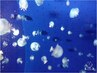 16.【足~腰疲れの方】●もみほぐし40分+足つぼ30分計70分コース