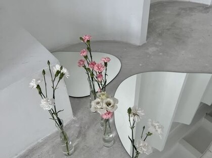 ステラ バイ セブンルックス 大宮東口店(Stella by7LOOKS)の写真