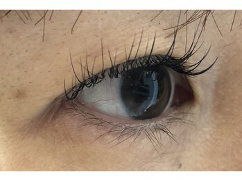 シルフ 松原店(Sylph)/Eye Beauty Salon Sylph 松原店