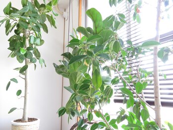 カズ(Kaz)/待合スペース