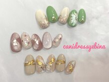キャンアイドレッシー 海老名/定額ネイル　プラチナ