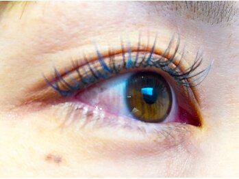 クララ ヒタチナカ アイラッシュ(CLALA Hitachinaka)/3Dエクステ 120束