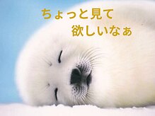 ベル 小倉(Belle)