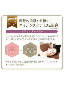 アリビオ(Alivio)/今度は本気でエイジング!