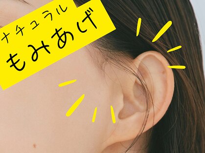 レーヌ(REINE)の写真