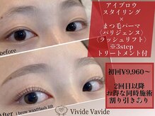 ビビデバビデ(Vivide Vavide)