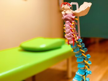 てさんば整体院 江戸川橋店/歴25年の実力派江戸川橋整体院!