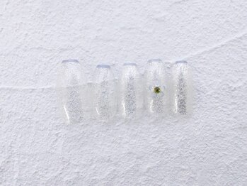 スタンダード定額コース