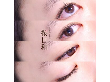 京都のまつげ 桜日和の写真