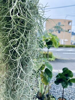 わたなべ整体院/