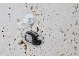 ポイントネイル