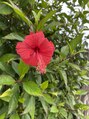 アンダ 伊勢崎店(Anda)&nbsp;OKINAWA！最高でした♪
