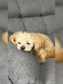 まつげエクステ アンド スクール アンド エステ プティーティドゥール(Putih Tidur)&nbsp;動物が大好きです！