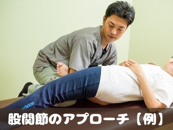 穴川駅前整骨院鍼灸院/股関節のアプローチ【例】