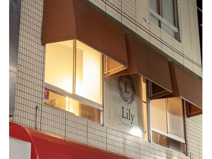 リリー(Lily)の写真