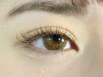 エイトラッシュ(8-lash)/khaki brown × gold