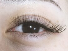 アイラッシュリング(EYELASH RING)/ボリュームラッシュ100束