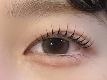 メゾン ド アイ 名駅(Maison de Eye)の写真/仕上がりと豊富なメニューに支持多数◎韓国風まつげパーマ&フラットラッシュでイマドキの印象的な目元に♪