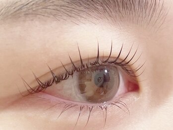 コティ バイ エピ 木更津店(Koti by epi...)/ラッシュリフト［まつげパーマ］