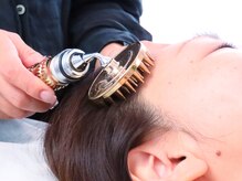 アウローラ(AVRORA)/