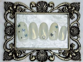 定額Designバタフライ