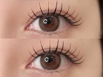 ルミ(Lumi)/フラットラッシュ120本