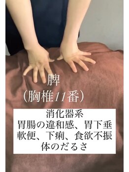 ツボミ(tubomi)/背中のツボ(脾ユ)