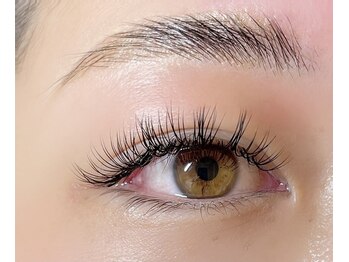 ルプティボヌール(LE PETIT BONHEUR.)/ダブルフラットラッシュ 80束