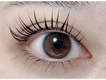 サロン コト(Salon Coto)/まつげパーマ★