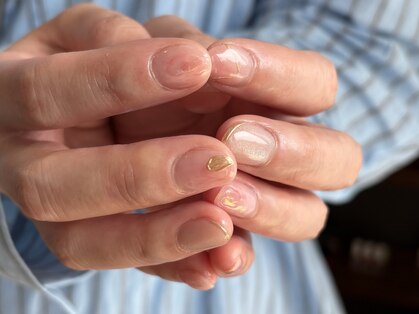 ウタカタ(utakata)の写真