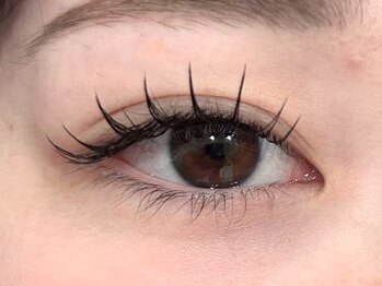 ネオリーブ ウリ(Neolive uri)/フラットラッシュ100本