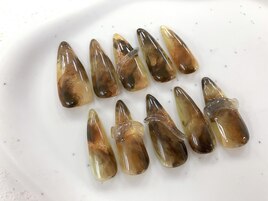 べっ甲様