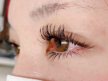 シュシュ(chou chou)/セーブル180本(chouchou吉祥寺)