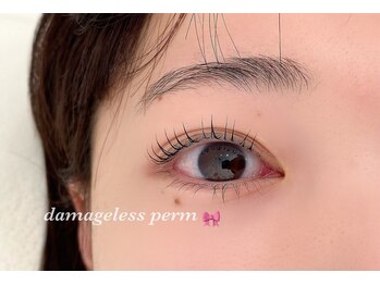 エルシー 千種店(LC)/ダメージレスまつ毛パーマ