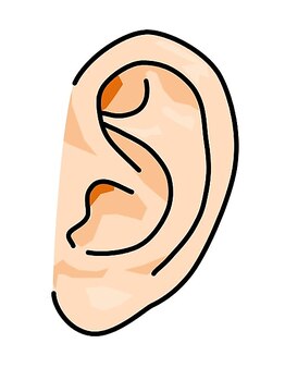 シア 静岡店(cia)/【耳毛脱毛】伸びていませんか？