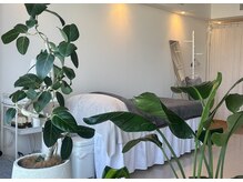 自然光だけでとても明るく白を基調にした透明感のある空間です。