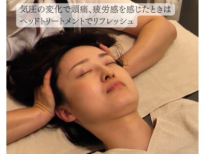 コカゲ(Kokage)の写真