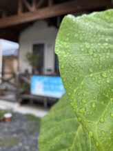 わたなべ整体院/