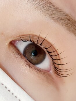 コレット 関目店(colette.)/ラッシュリフト☆カールデザイン