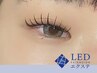 【新規】LEDマツエク100本￥6000★ 高持続/無料束感仕上げOK◎