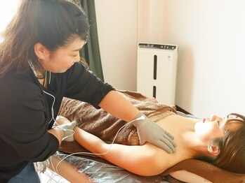 せいらん/日米特許取得マシンでハリと弾力