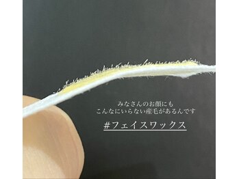 リザボーテ(Liza beate)/ワックス脱毛/ワックス/フェイス