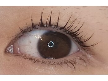 アイラッシュプラン メル 高槻JR駅前店(eyelash plan Mel)/韓国アイドル風まつ毛パーマ