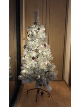 サリエ(Salier)/Xmas ツリー♪