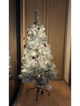 サリエ(Salier)/Xmas ツリー♪