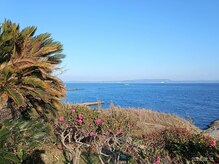 ワールドマッサージの雰囲気（まるでハワイの様なリゾート風な観音崎♪色々な花々もキレイ♪）